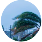 Mindiola Law Firm – First-Party Insurance